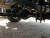 ISUZU ELF бортовой с КМУ UNIC